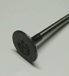 24V FE6 Einlassventil 13201-Z5503 13202-Z5504 Auspuffventilsitz des Motors